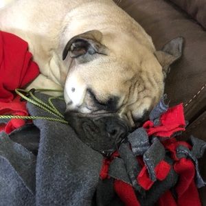 Meet your Posher, Jason